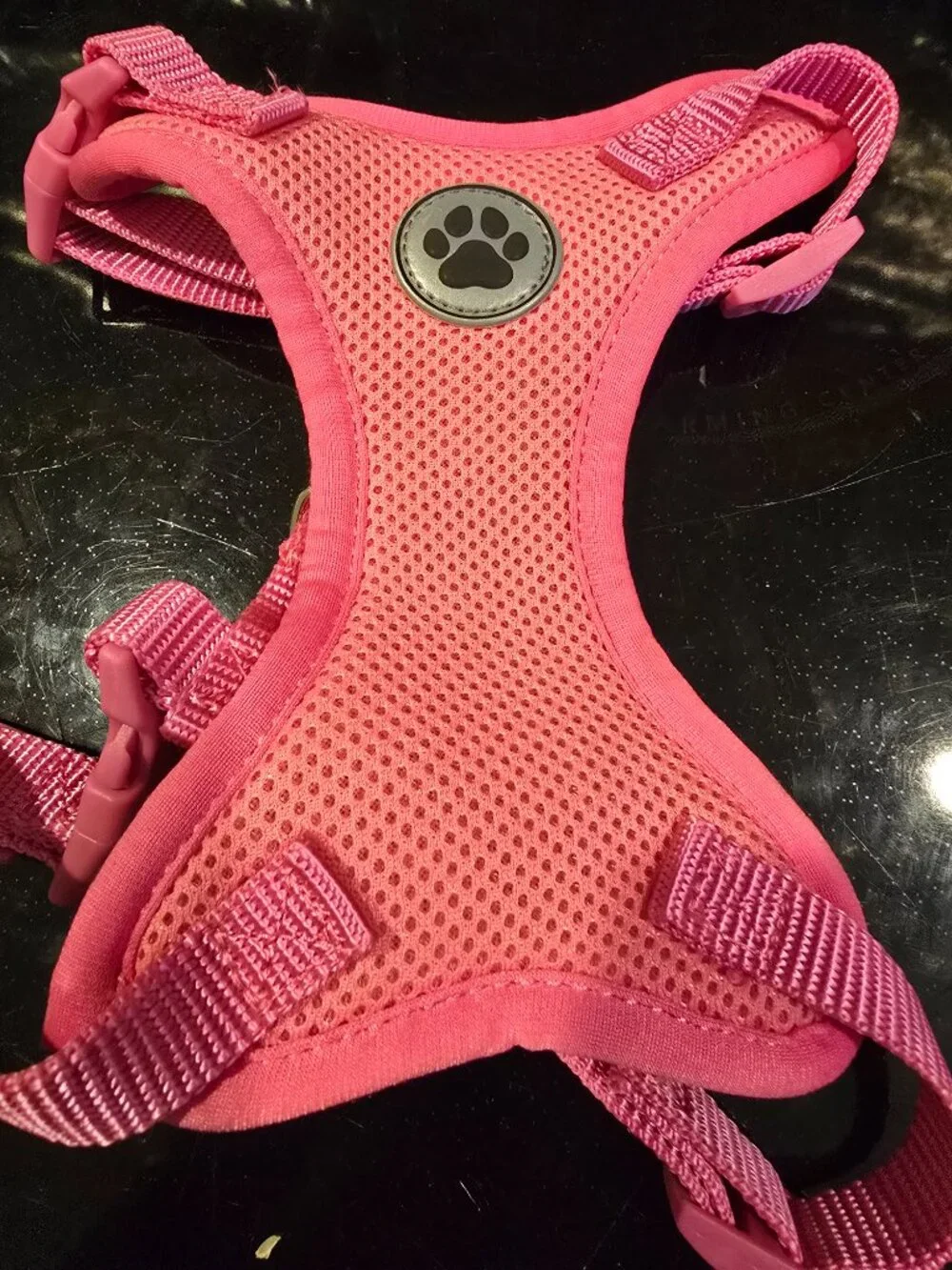 Pink Small Dog Harness Vibrant Life Dog Leash Sassy Woof NEW